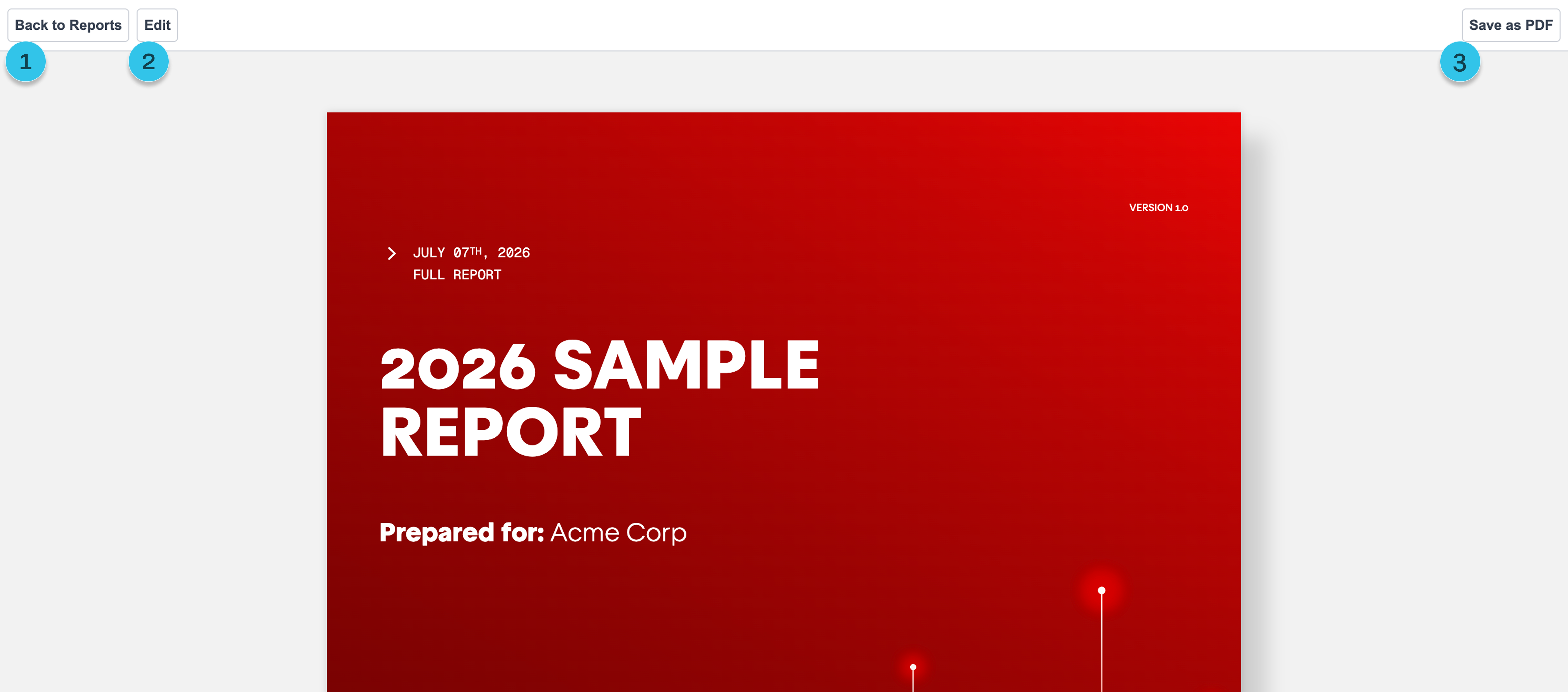 Report_View Report.png